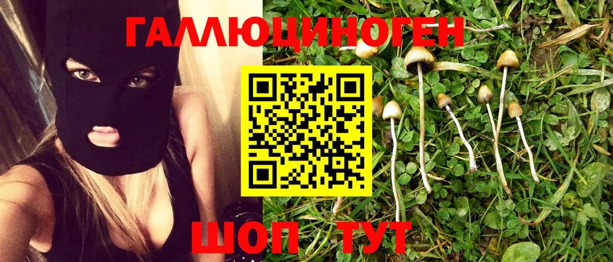 Псилоцибиновые грибы мицелий  Галлюциногенные грибы Psilocybine cubensis  Вход с VPN  Дзержинск 